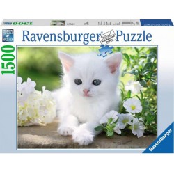 Ravensburger 16243 Puzzle 1500 pièces - Chaton blanc
