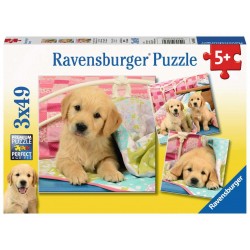 Ravensburger Puzzles 3x49 pièces - Mignons petits chiots