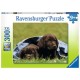 Ravensburger Puzzle 300 p XXL - Bébés labrador