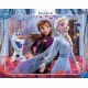 Ravensburger Puzzle cadre 30-48 pièces - La magie de la Nature / Disney La Reine des Neiges 2