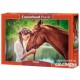 Castorland Puzzle Great Friendship, puzzle 500 pièces