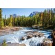 Castorland Puzzle Athabasca River, Jasper Nat.Park