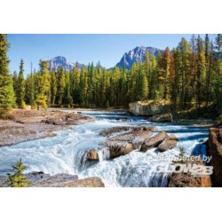 Castorland Puzzle Athabasca River, Jasper Nat.Park