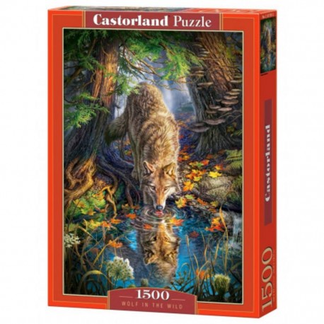 Castorland Puzzle Loup dans la nature