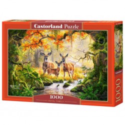 Castorland Puzzle Famille Royale, Puzzle 1000 Teiles