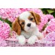 Castorland Puzzle Chiot en fleurs roses