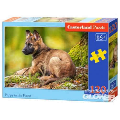 Castorland Puzzle Puppy in the Forest, puzzle 120 pièces