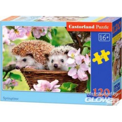 Castorland Puzzle Springtime, puzzle 120 parties