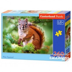 Castorland Puzzle Pine Squirrel, Puzzle 260 pièces