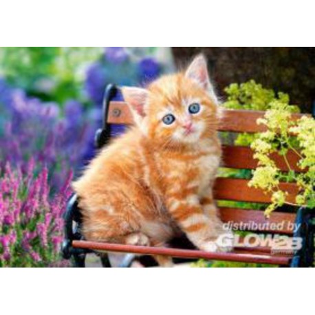 Castorland Puzzle Chaton tigre