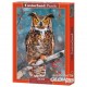 Castorland Puzzle Great Horned Owl, puzzle 500 pièces