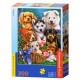 Castorland Puzzle Chiots, Puzzle 300 Teiles