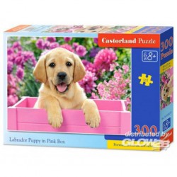 Castorland Puzzle Labrador Puppy in Pink Box, Puzzele 300 T