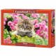 Castorland Puzzle Chaton dans un jardin de fleurs, Puzzle 500 pièces