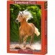 Castorland Puzzle Running Haflinger, Puzzle 500 Teile