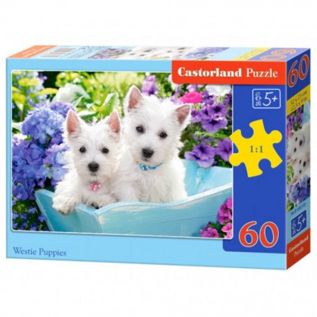 Castorland Puzzle Westie Puppies, Puzzle 60 pièces