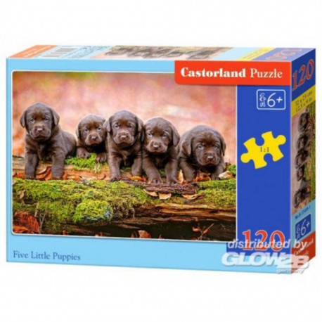 Castorland Puzzle Five Little Puppies, puzzle 120 pièces