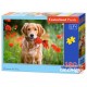 Castorland Puzzle Fleurs pour vous ..., Puzlle 180 parties