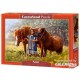 Castorland Puzzle Beauty Within, Puzzle 500 parties