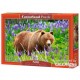 Castorland Puzzle Bear on the Meadow, puzzle 500 pièces