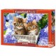 Castorland Puzzle Cute Kittens, puzzle 1500 parties