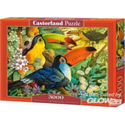 Castorland Puzzle Interlude, puzzle 3000 parts