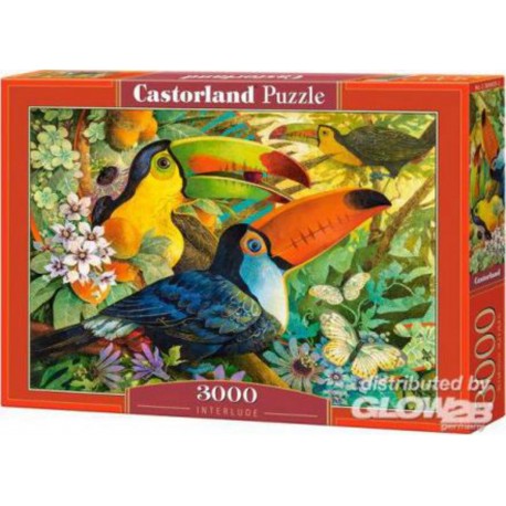 Castorland Puzzle Interlude, puzzle 3000 parts