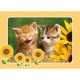 Castorland Puzzle Deux chatons avec des tournesols