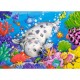 Castorland Puzzle Sur le Coral Reef, Puzzle 60 parties