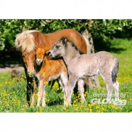 Castorland Puzzle Poneys dans la prairie, puzzle 120 pièces