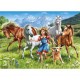 Castorland Puzzle Sur un Meadow, puzzle 120 pièces