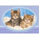 Castorland Puzzle Chatons enroulés sur une couverture