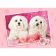 Castorland Puzzle Deux chiens en rose