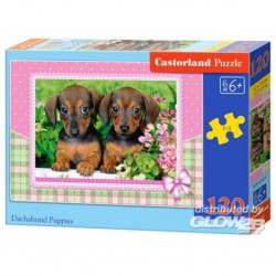 Castorland Puzzle Dachshund Puppies, puzzle 120 pièces