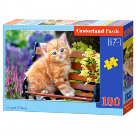 Castorland Puzzle Gingembre chaton