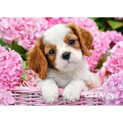 Castorland Puzzle Pup in Pink Flowers, puzzle 180 parties