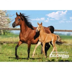 Castorland Puzzle Mare and Foal, Puzzle 260 pièces