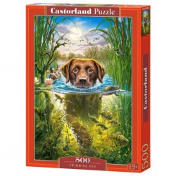 Castorland Puzzle Chien de natation