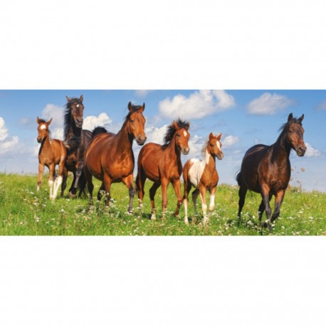 Castorland Puzzle Paradis des chevaux