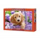 Castorland Puzzle Chiot dans le panier