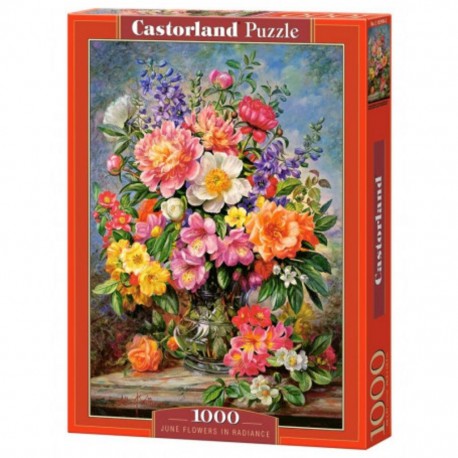 Castorland Puzzle Fleurs de juin dans Radiance