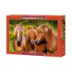 Castorland Puzzle Amis du cheval