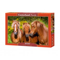 Castorland Puzzle Amis du cheval