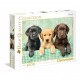 Clementoni Puzzle Trois Chiots (A3x1)