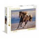 Clementoni Puzzle Le cheval libre