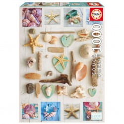 Educa Puzzle Collage de coquillages