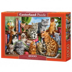 Castorland Puzzle Maison des chats, Puzzle 2000 Teile