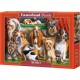 Castorland Puzzle Club de chien, Puzzle 3000 pièces