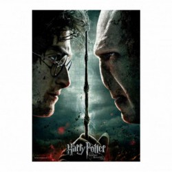 Sd Toys Puzzle Harry Potter Puzzle Harry vs Voldemort