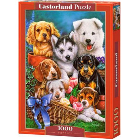 Castorland Puzzle Chiots, Puzzle 1000 Teiles